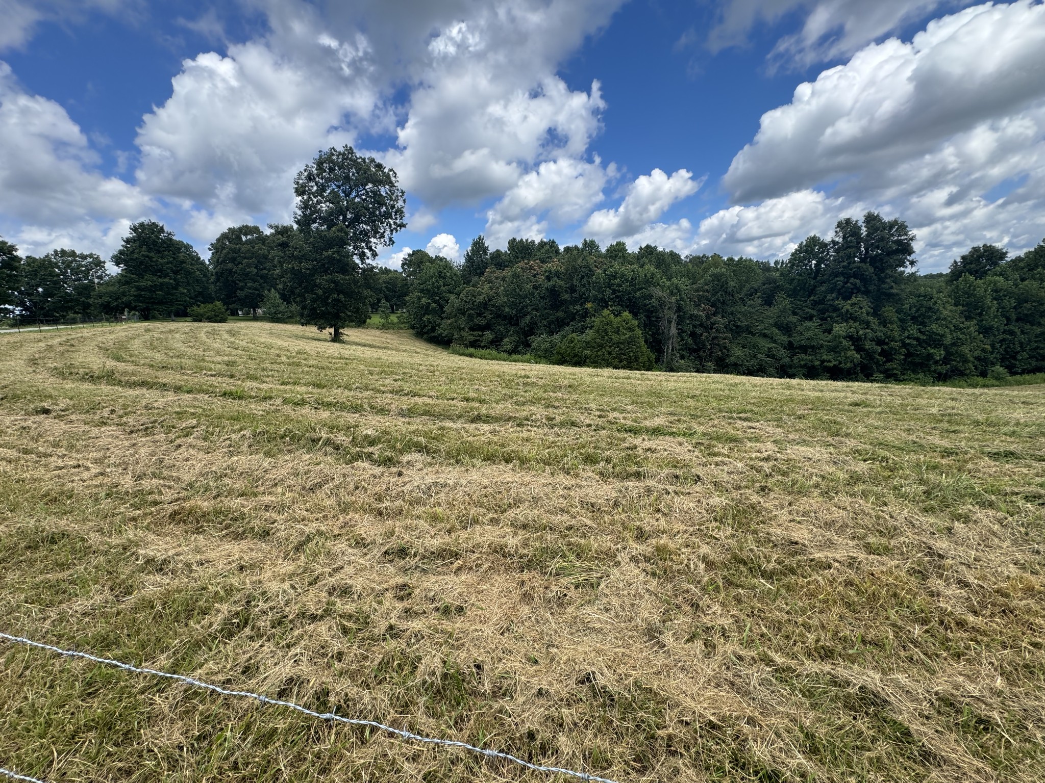 0 Pack Road White Bluff, TN 37187 - Photo 6 of 8 a view of an outdoor space and a yard