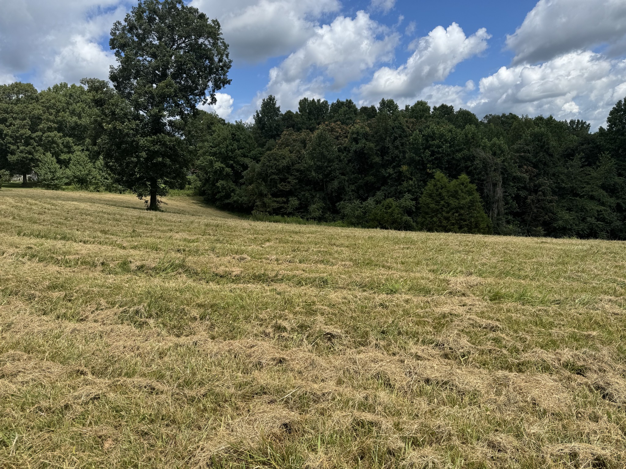 0 Pack Road White Bluff, TN 37187 - Photo 7 of 8 a view of basketball court