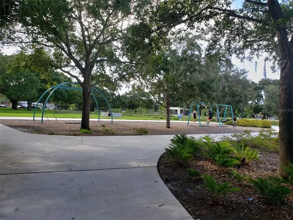a view of a park with large trees