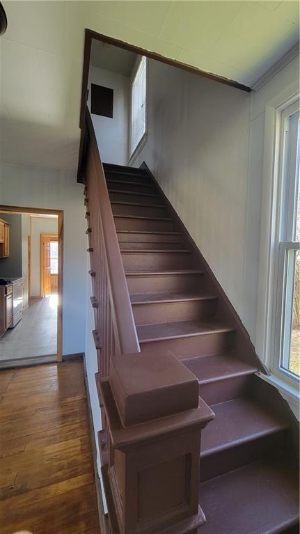 964 Ralphton Road Stoystown, PA 15563 - Photo 17 of 40 Gallery Image 17