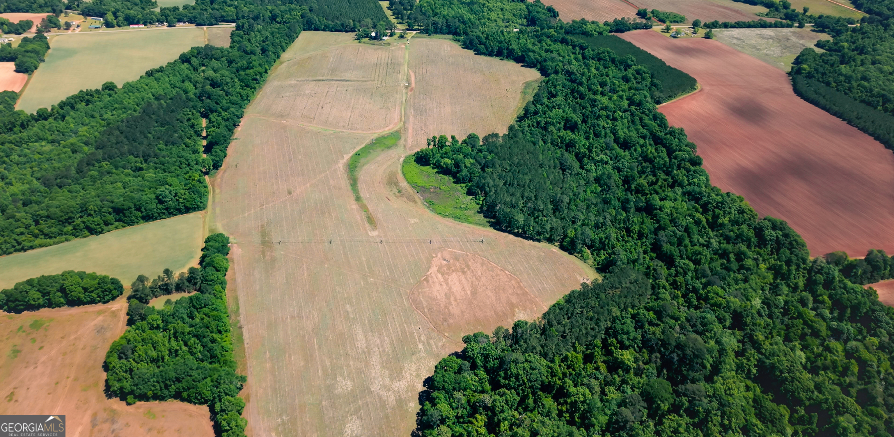 0 West Bluffton Road Bluffton, GA 39824 - Photo 3 of 18