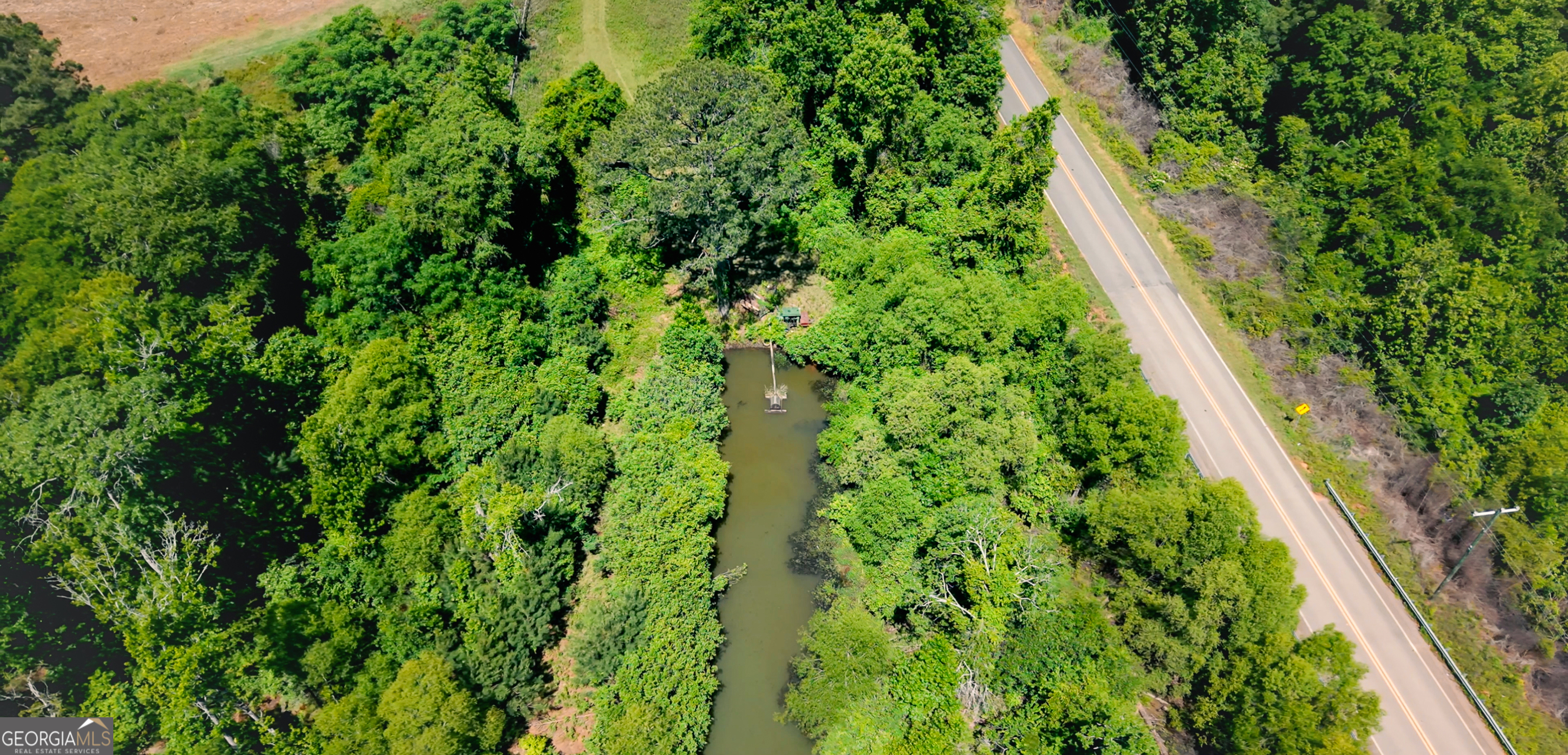 0 West Bluffton Road Bluffton, GA 39824 - Photo 4 of 18