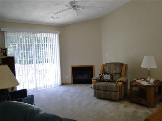 445 Mill Ridge Drive Byron, IL 61010 - Photo 3 of 10 Gallery Image 3