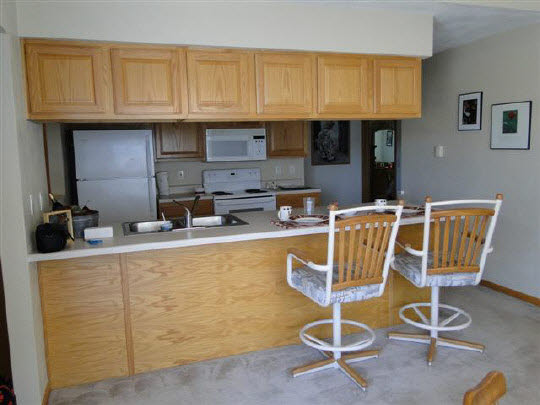 445 Mill Ridge Drive Byron, IL 61010 - Photo 4 of 10 Gallery Image 4