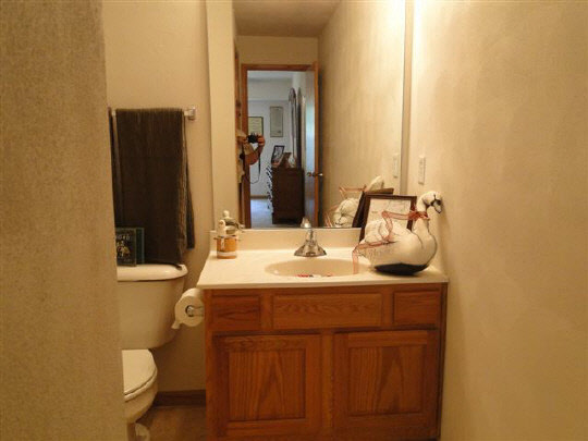 445 Mill Ridge Drive Byron, IL 61010 - Photo 9 of 10 Gallery Image 9