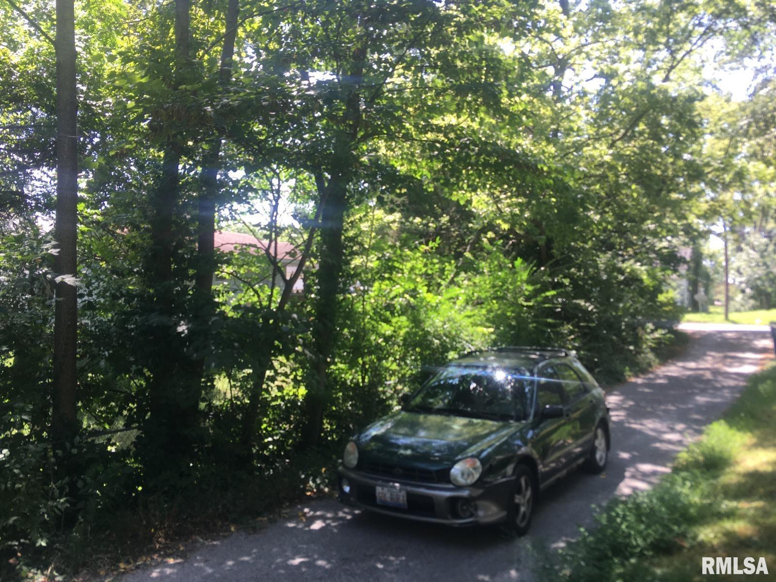 504 Lucier Street Murphysboro, IL 62966 - Photo 3 of 7