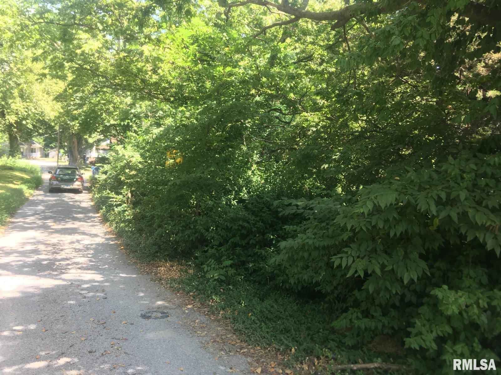 504 Lucier Street Murphysboro, IL 62966 - Photo 4 of 7