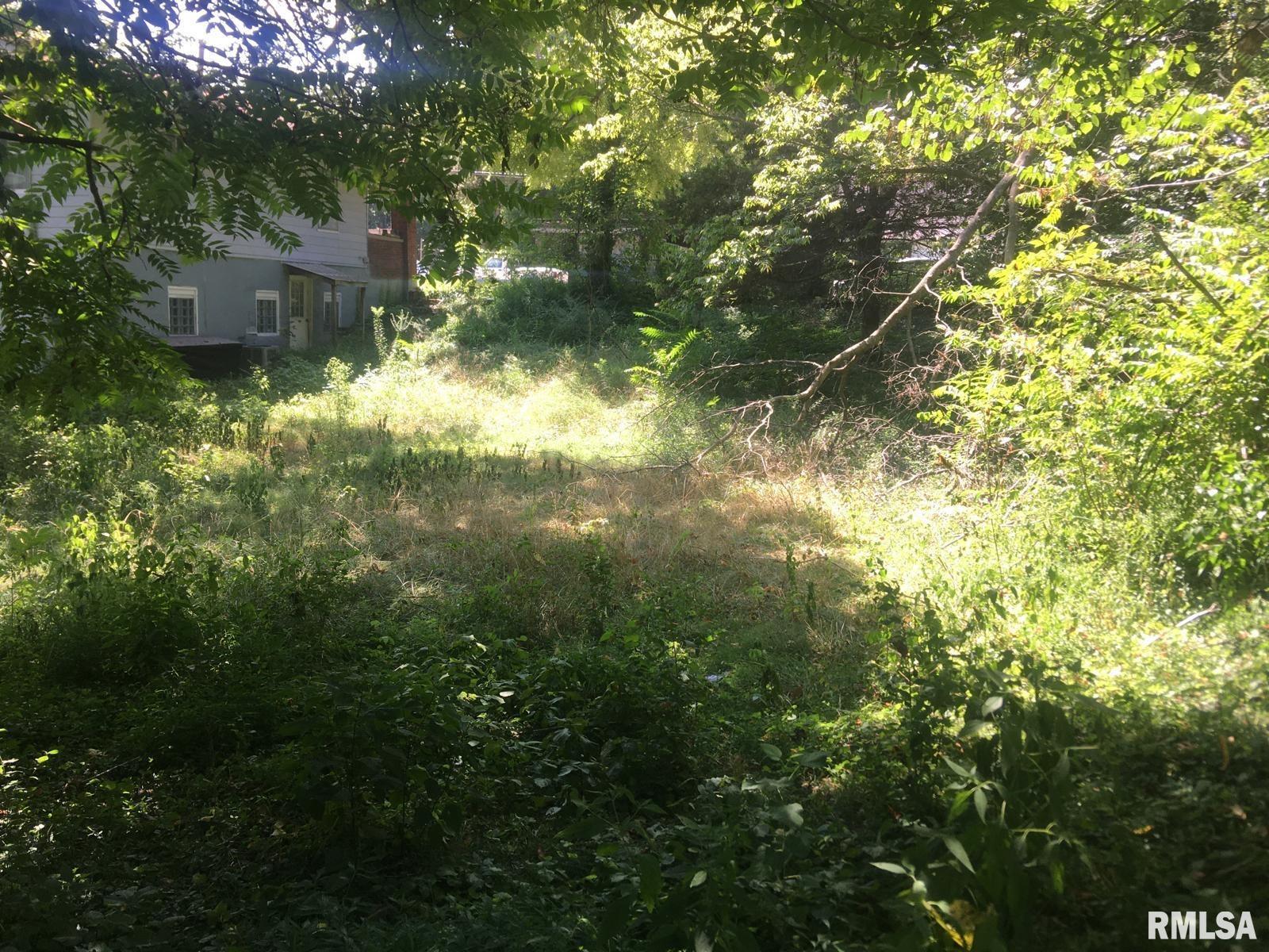 504 Lucier Street Murphysboro, IL 62966 - Photo 5 of 7