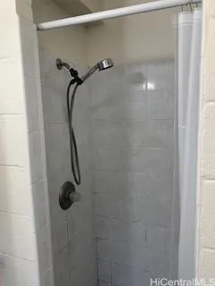 a shower view in a bathroom