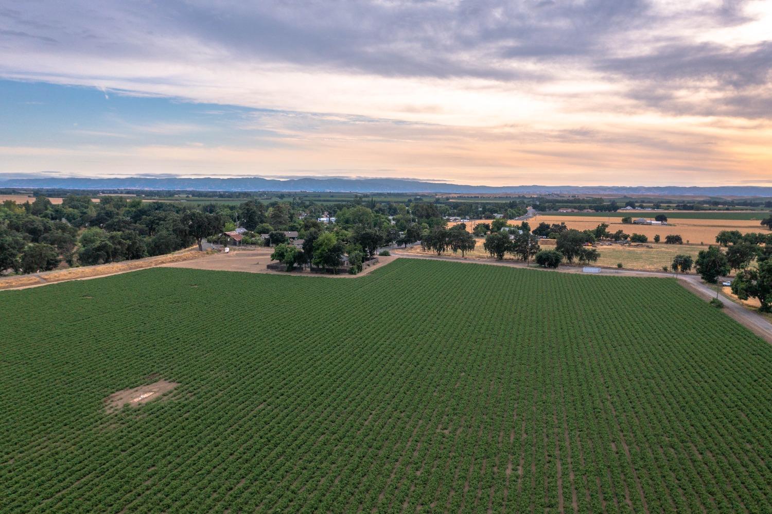 38067 County Road 17 Yolo, CA 95697 - Photo 3 of 9