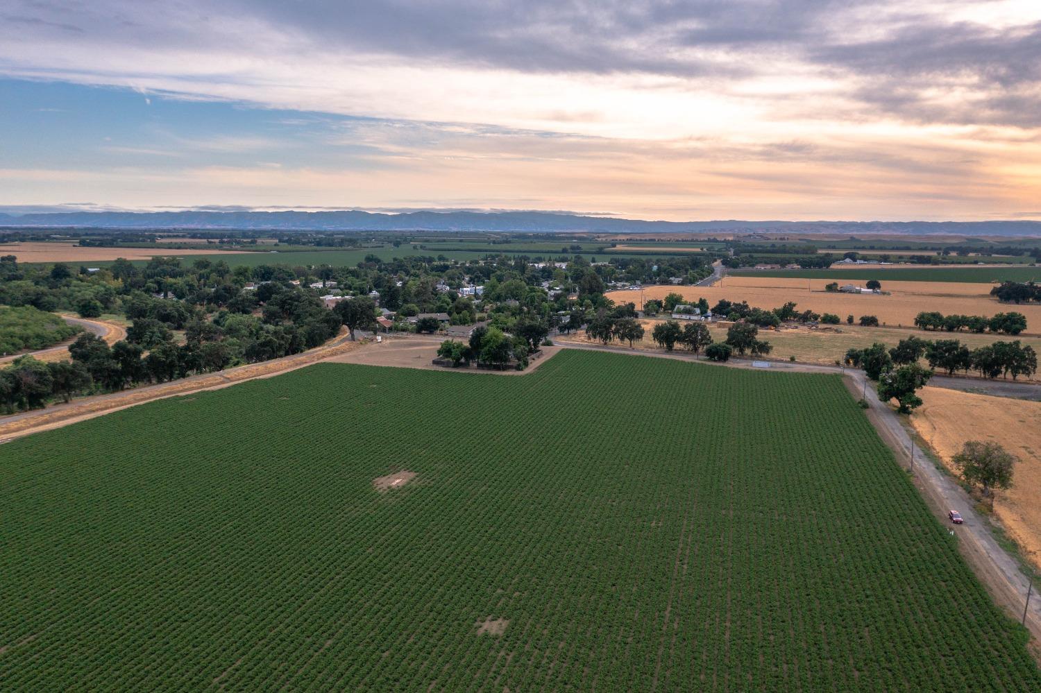 38067 County Road 17 Yolo, CA 95697 - Photo 4 of 9