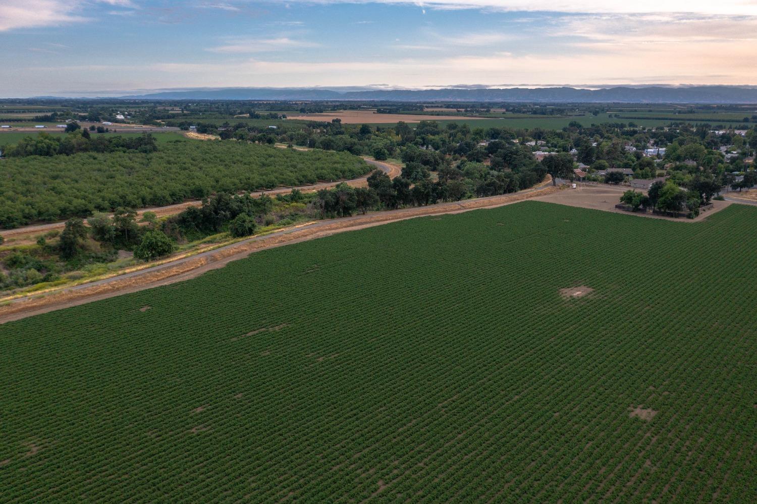 38067 County Road 17 Yolo, CA 95697 - Photo 5 of 9