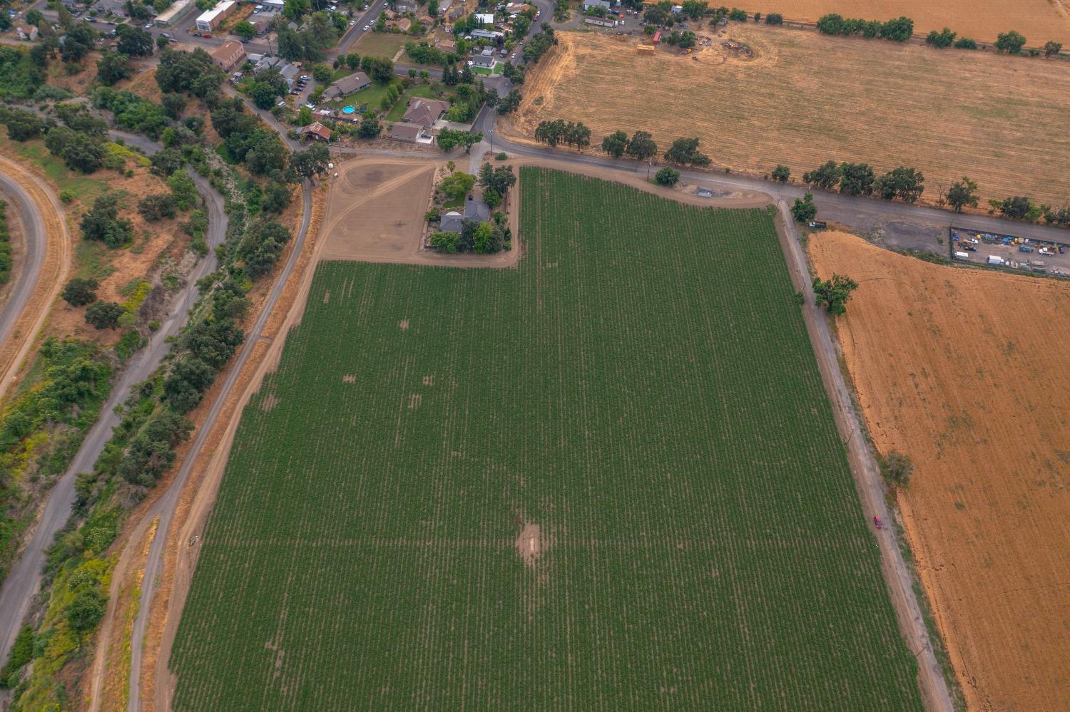 38067 County Road 17 Yolo, CA 95697 - Photo 7 of 9