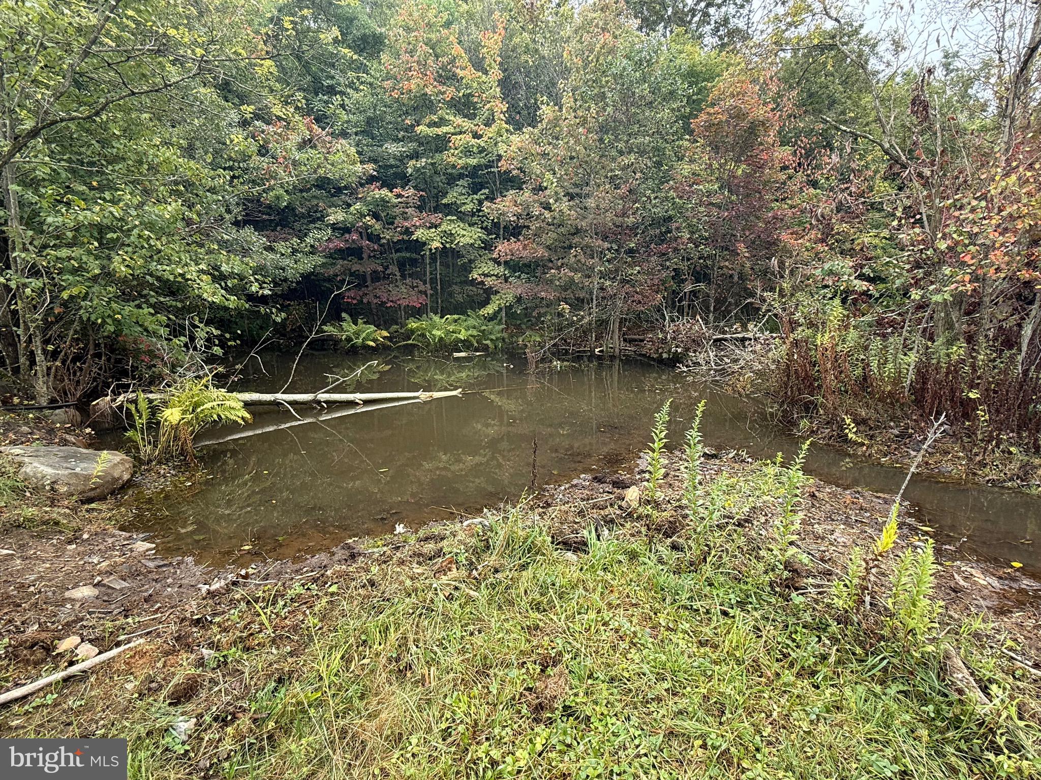 0 Pinnacle Road Keyser, WV 26726 - Photo 21 of 61
