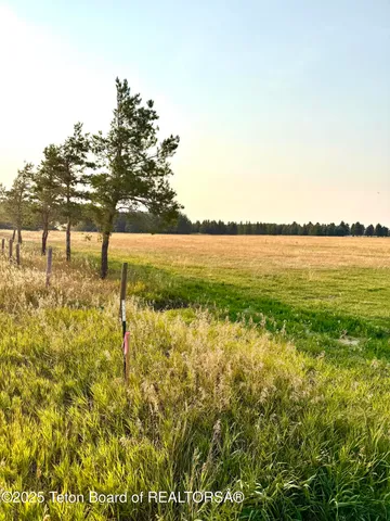 $225,000 | Tbd Tbd Lane, Driggs, ID 83422