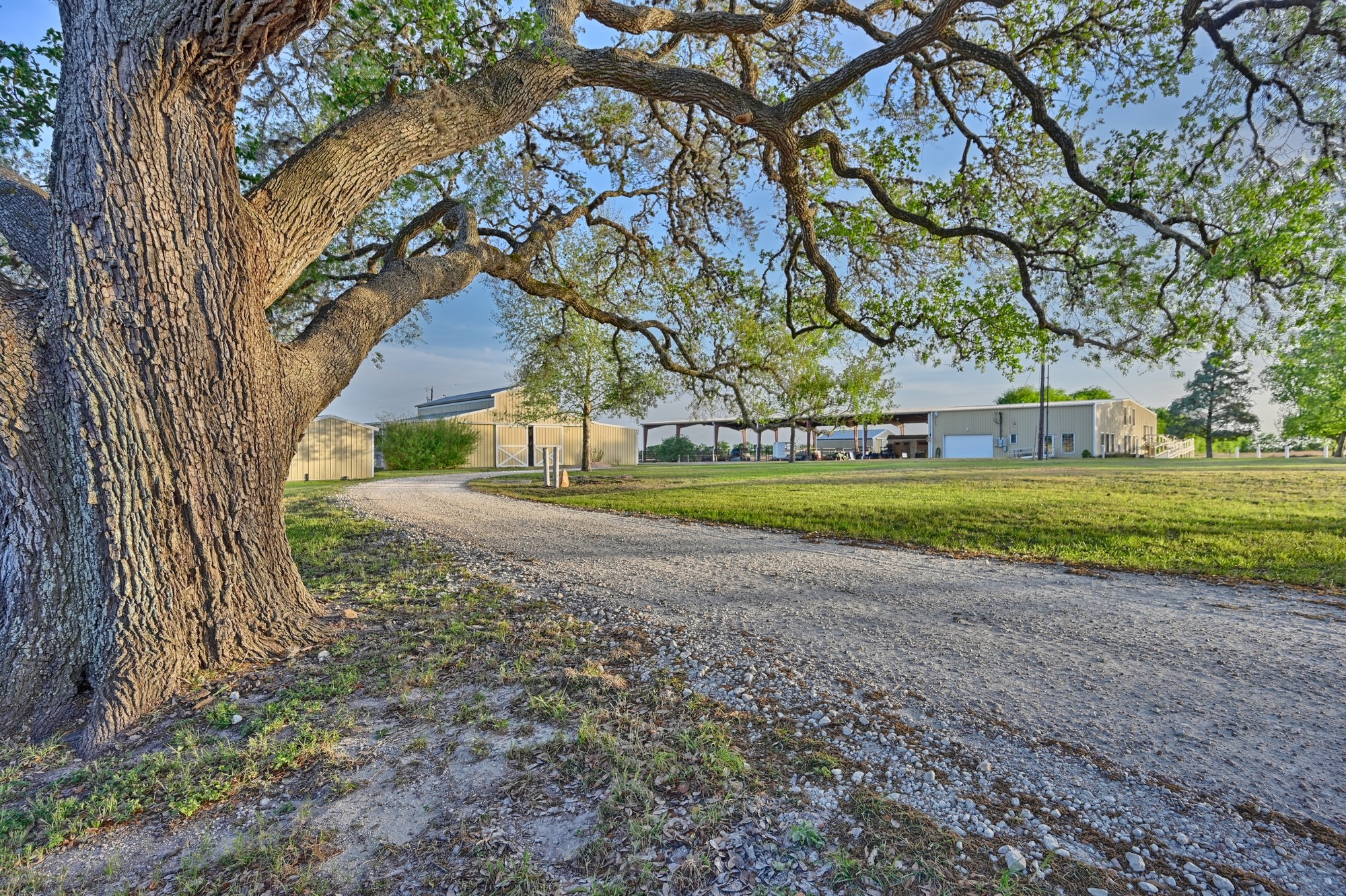 5255 Ganske Road Burton, TX 77835 - Photo 39 of 46 This property features a charming rural setting with a large, mature tree framing a gravel driveway leading to multiple outbuildings. The spacious grounds offer plenty of open space and greenery, ideal for those seeking tranquility and a connection with nature.