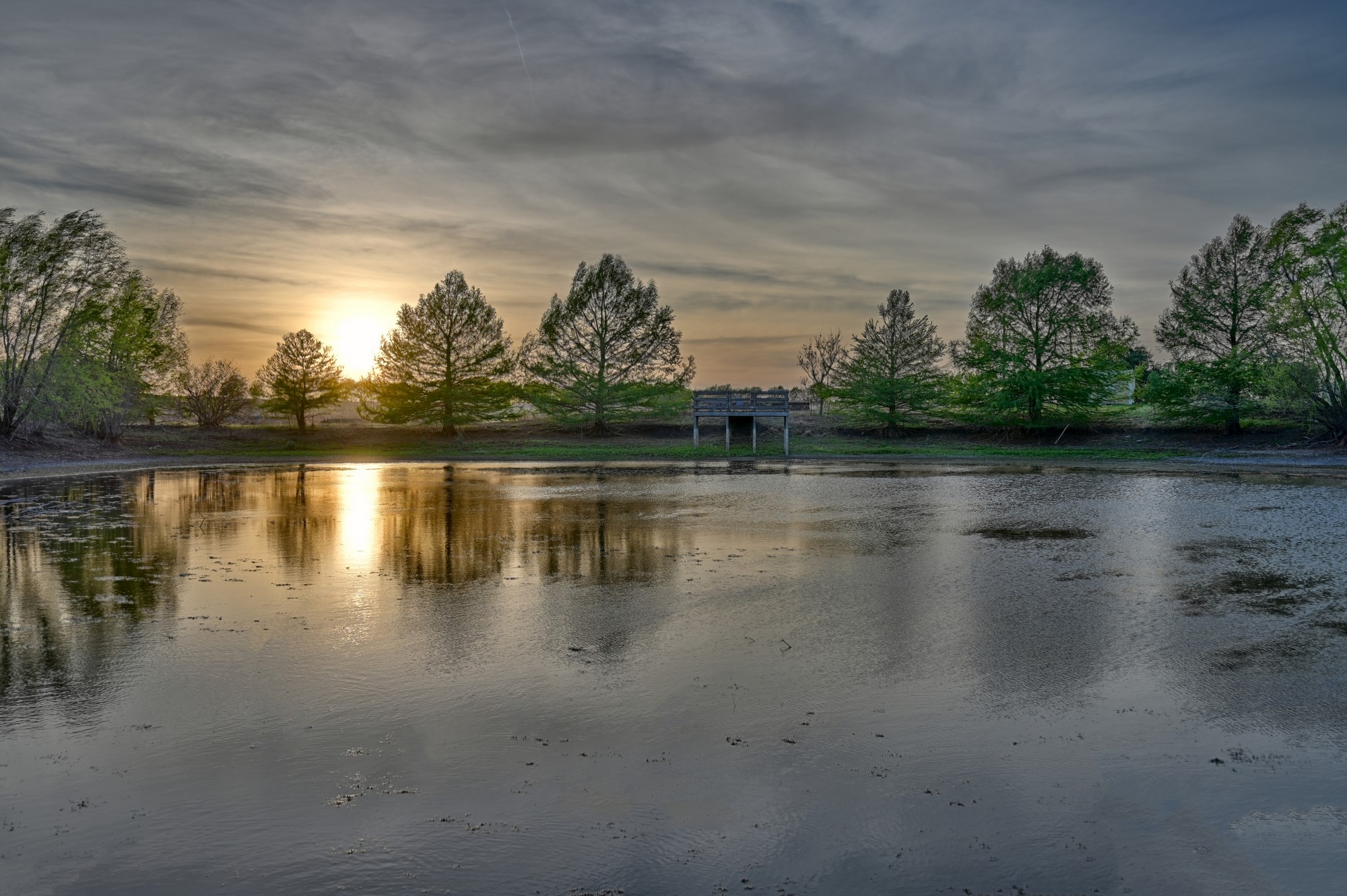 5255 Ganske Road Burton, TX 77835 - Photo 42 of 46 A serene lake view at sunset, surrounded by lush trees, offering a peaceful and picturesque landscape. Ideal for buyers seeking tranquility and natural beauty.
