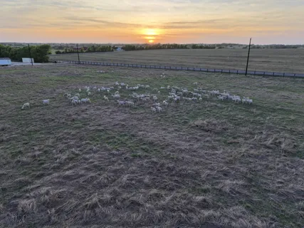 $4,750,000 | 5255 Ganske Road, Burton, TX 77835