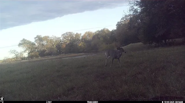 $1,100,000 | 2130 Telephone Tx 75488, Telephone, TX 75488