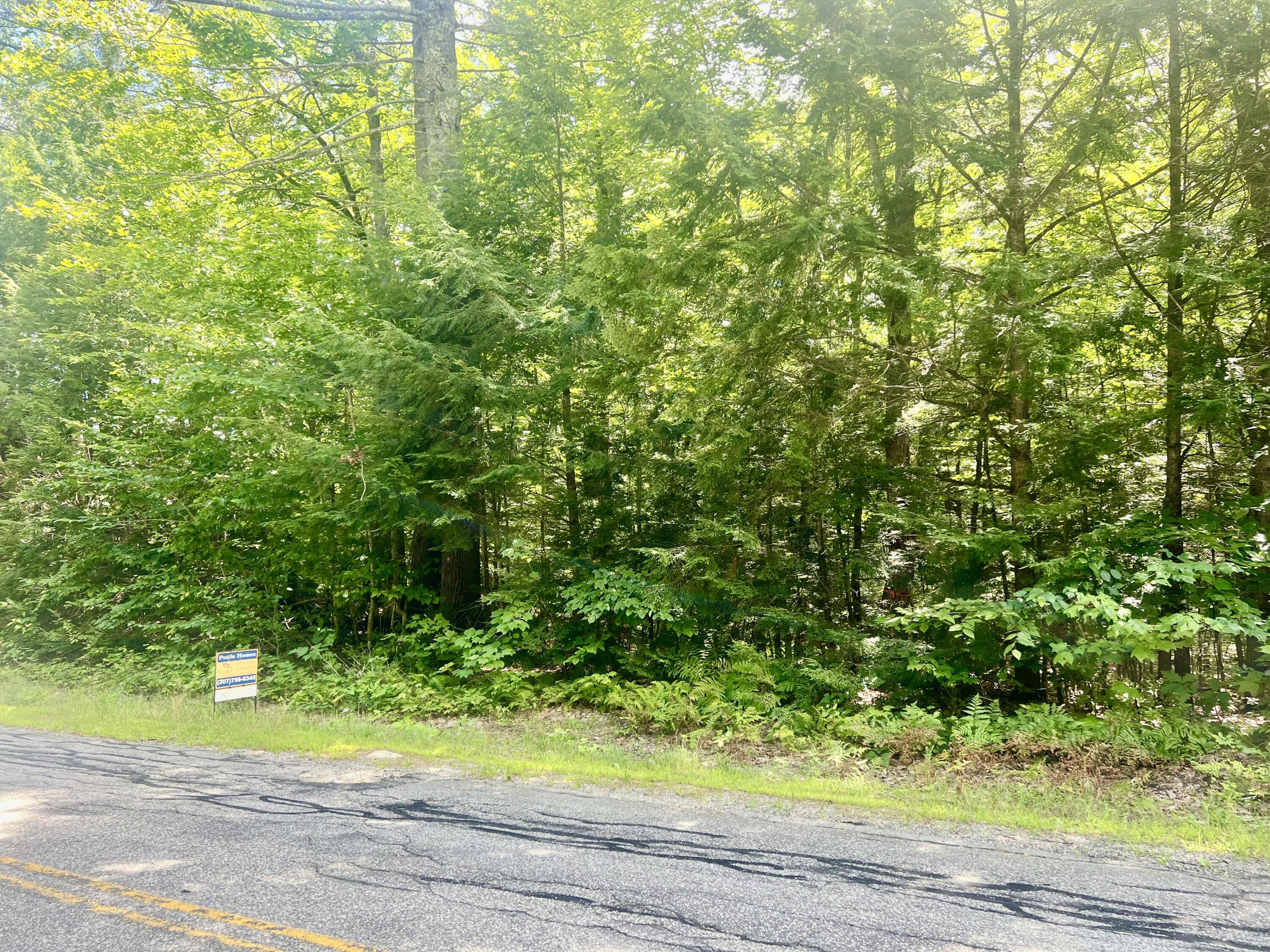 0 Heath Road Casco, ME 04015 - Photo 3 of 8 IMG_3805