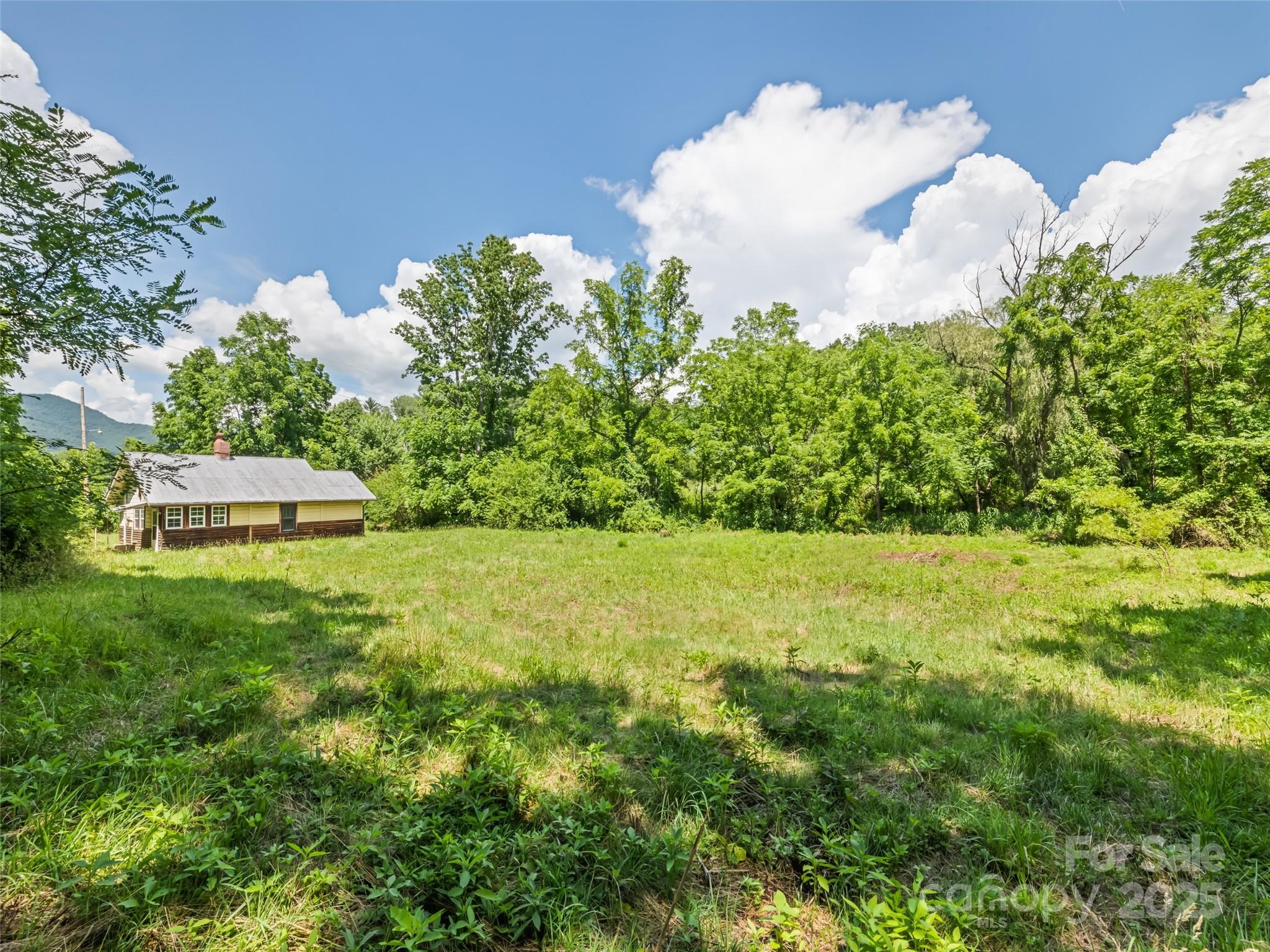 55 Shook Street Clyde, NC 28721 - Photo 3 of 21 a view of a garden
