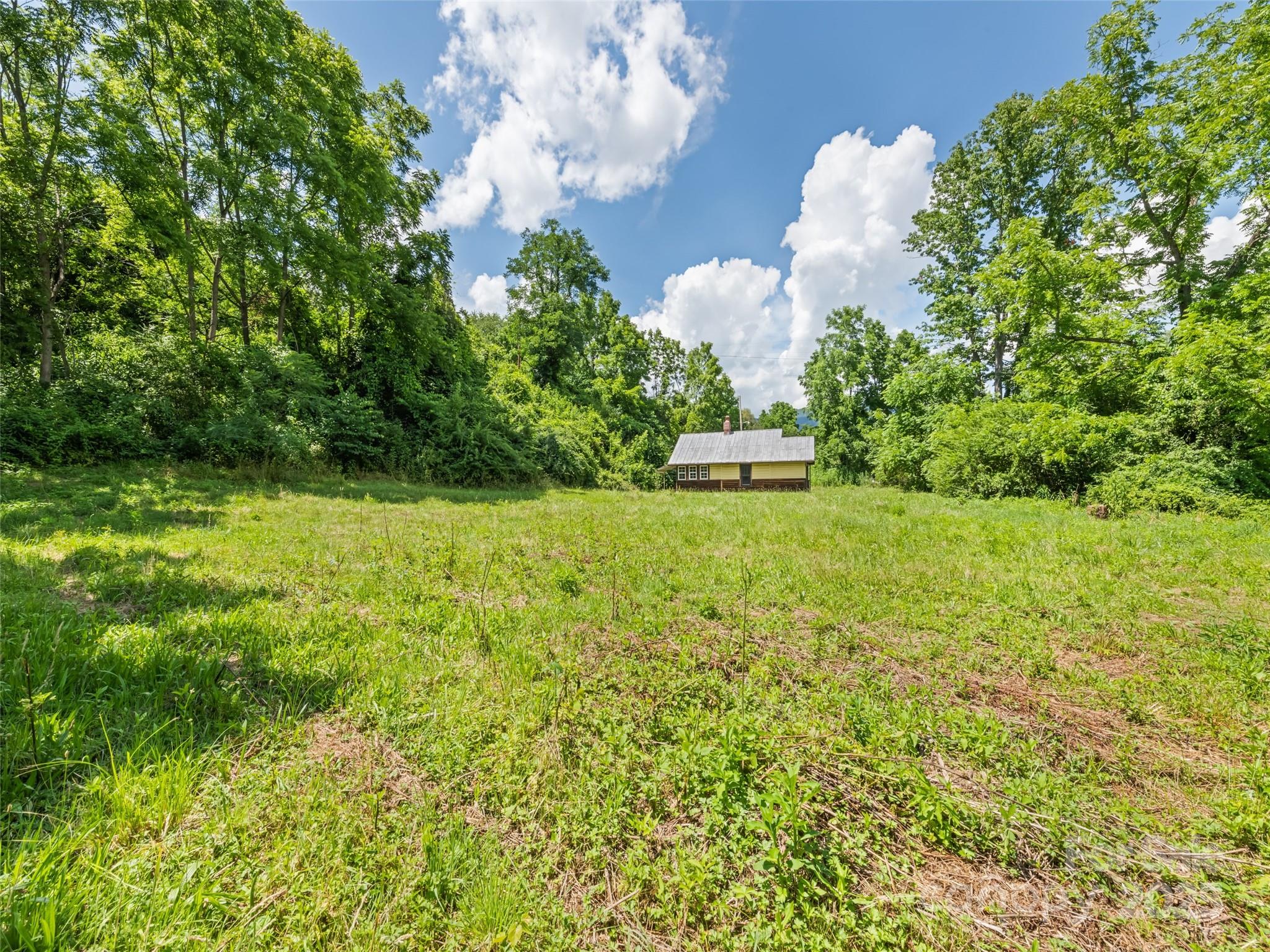 55 Shook Street Clyde, NC 28721 - Photo 4 of 21 a view of a green yard with large trees