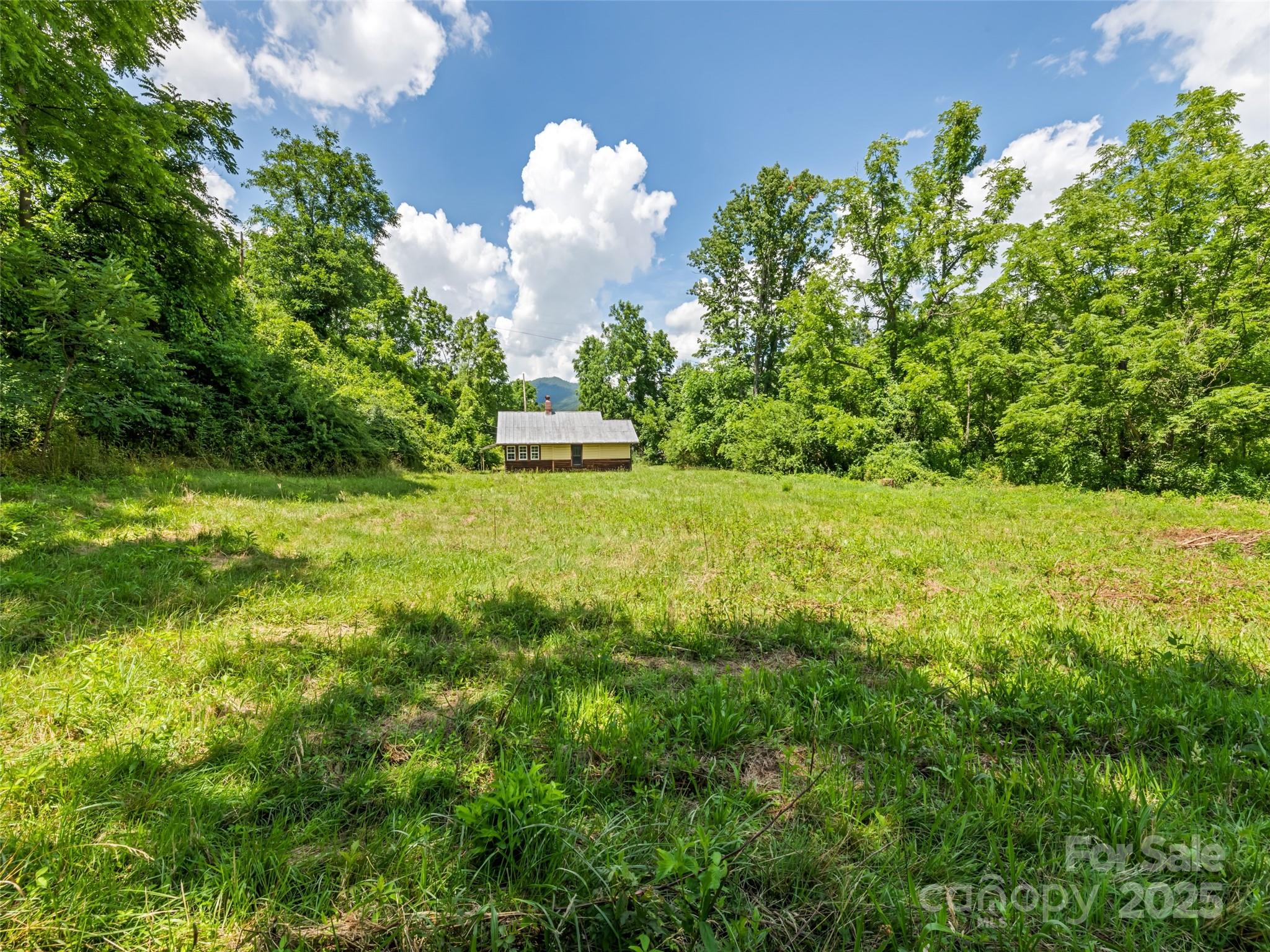 55 Shook Street Clyde, NC 28721 - Photo 5 of 21 a view of a green yard