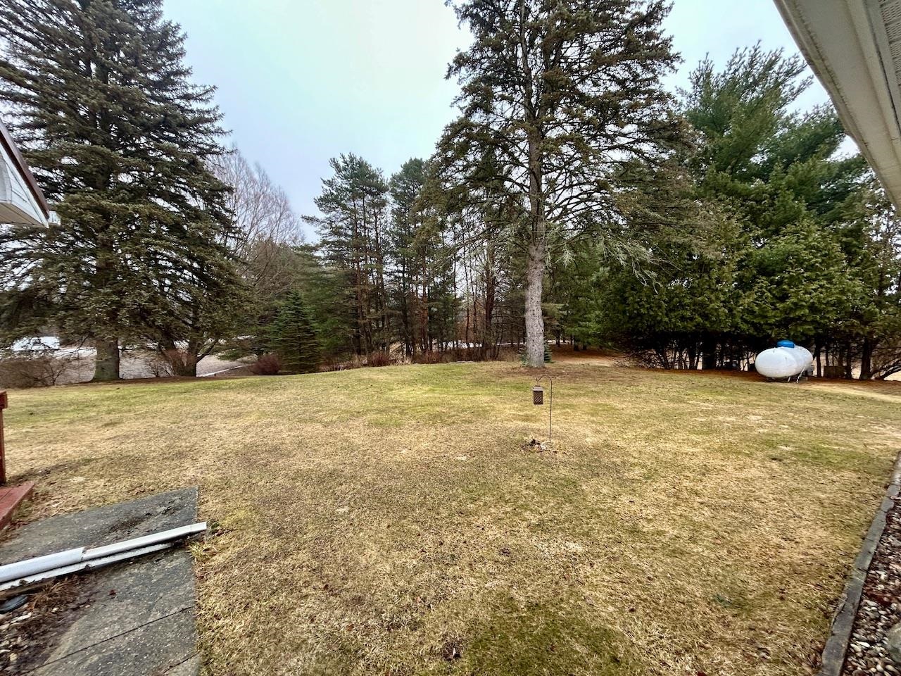 123 South Shearer Road Gladwin, MI 48624 - Photo 25 of 27