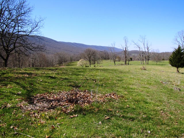 2091 Pete Amos Road Lindside, WV 24951 - Photo 5 of 54 Gallery Image 5