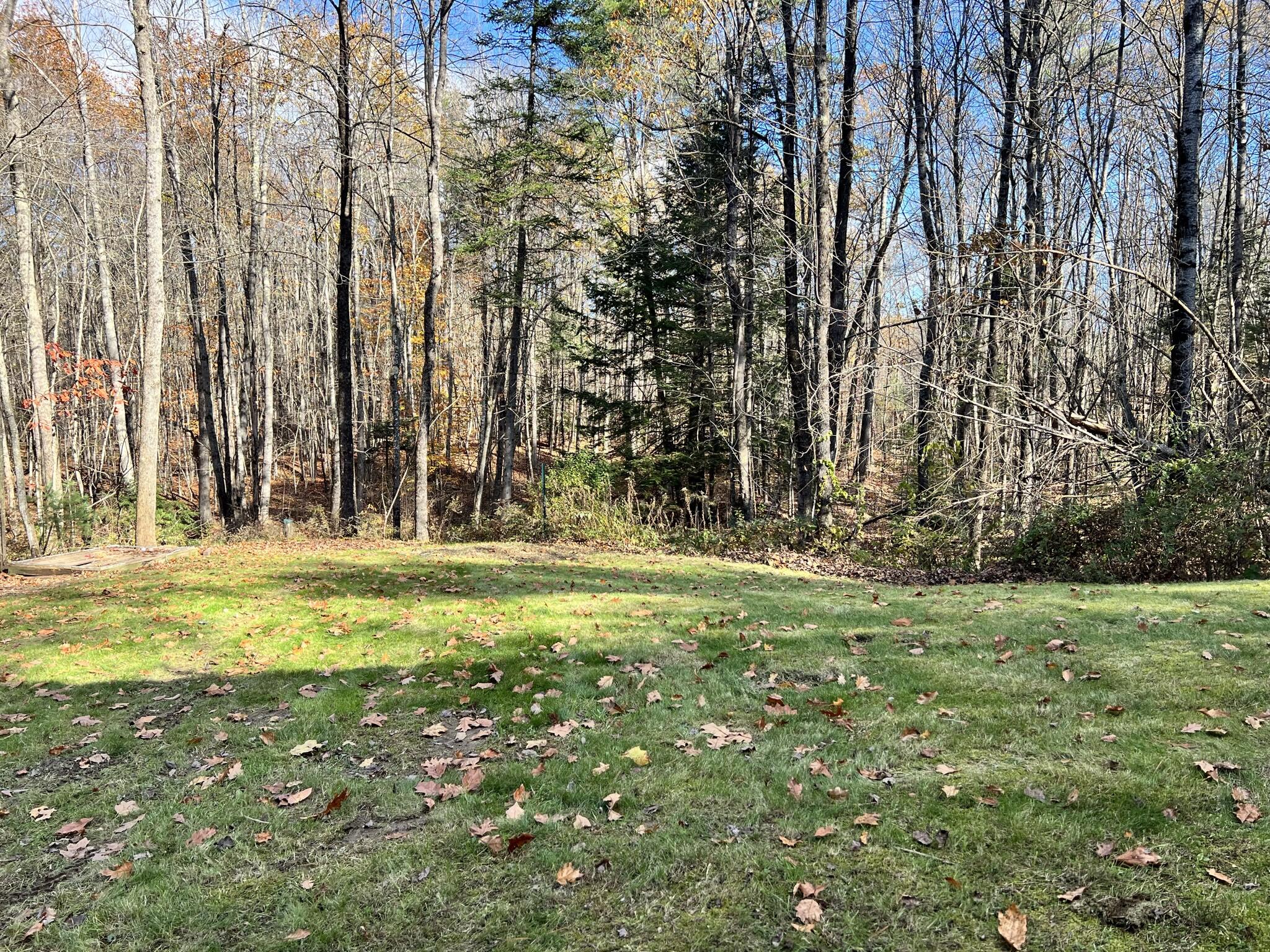 29 Deering Road Gorham, ME 04038 - Photo 50 of 51 Backyard