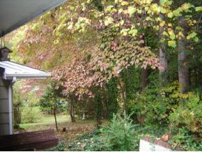 401 Robin Road Bristol, TN 37620 - Photo 2 of 9 Photo 2
