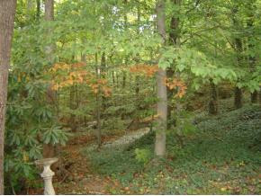 401 Robin Road Bristol, TN 37620 - Photo 4 of 9 Photo 4