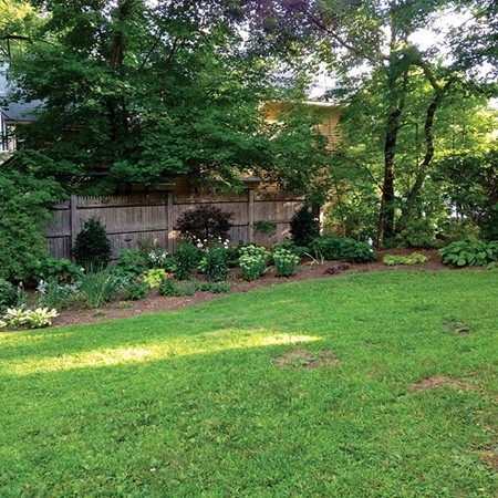189 Langley Road Newton, MA 02459 - Photo 8 of 8