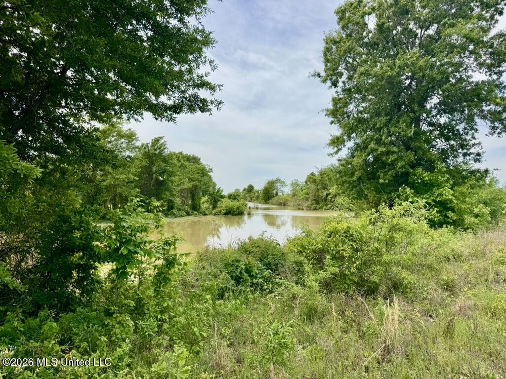 1 Highway 3 Lambert, MS 38643 - Photo 35 of 102 D792E94A-379E-4FE8-8E79-52728095D878_1_1
