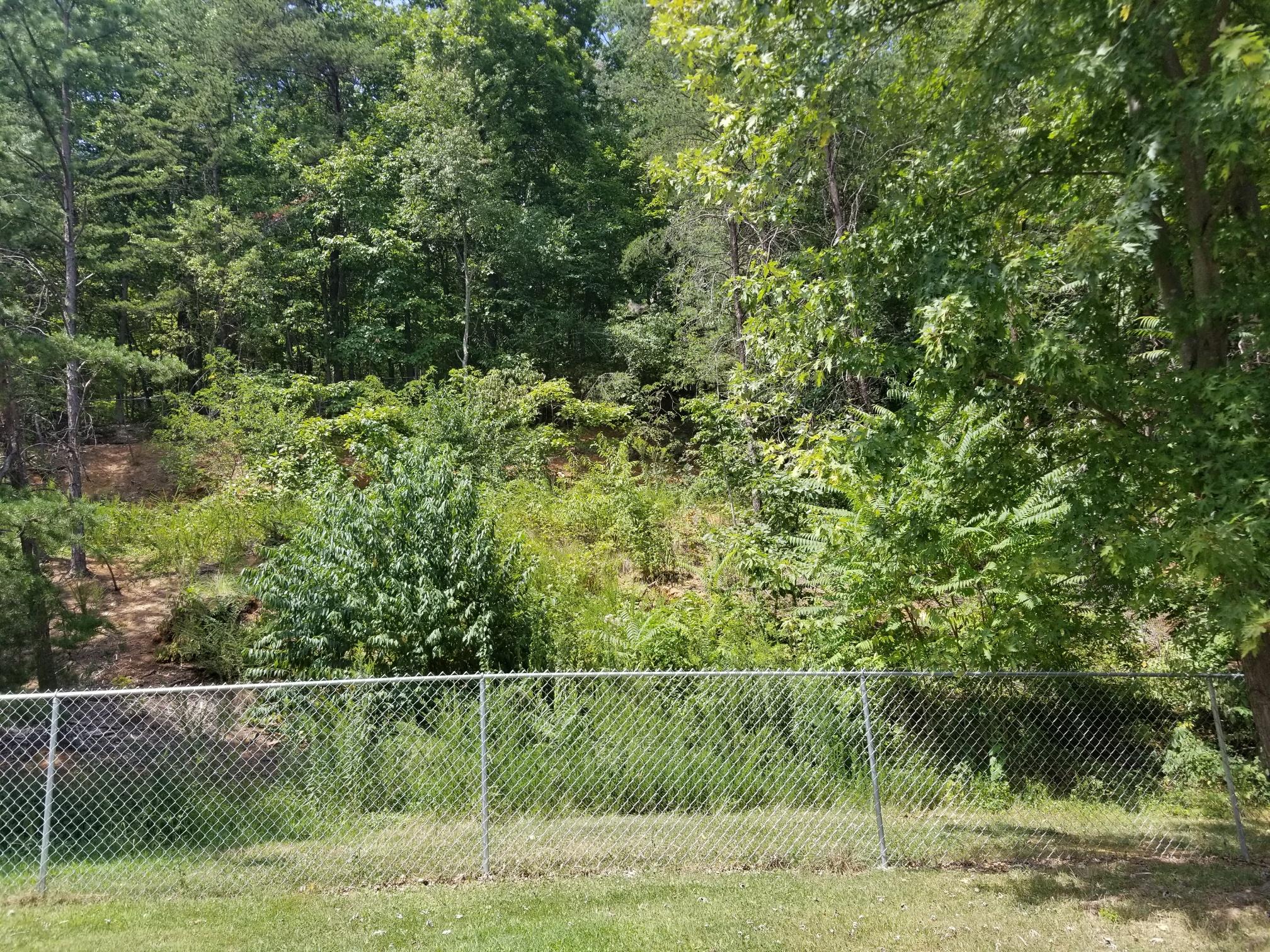 701 Estates Road Southeast Roanoke, VA 24014 - Photo 14 of 16 20170823_142913_resized