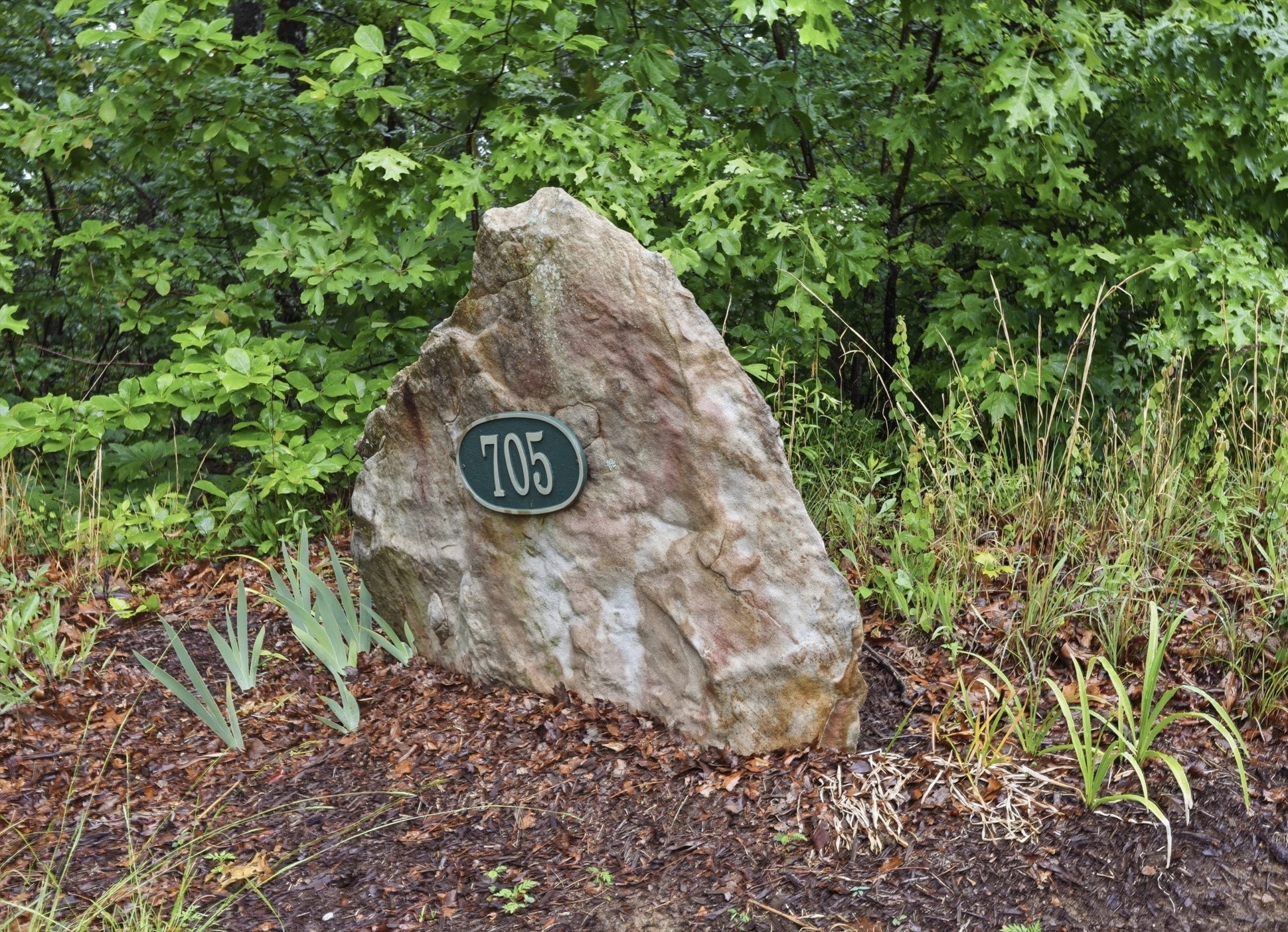 705 North Campbell Road Altamont, TN 37301 - Photo 94 of 97 Gallery Image 94