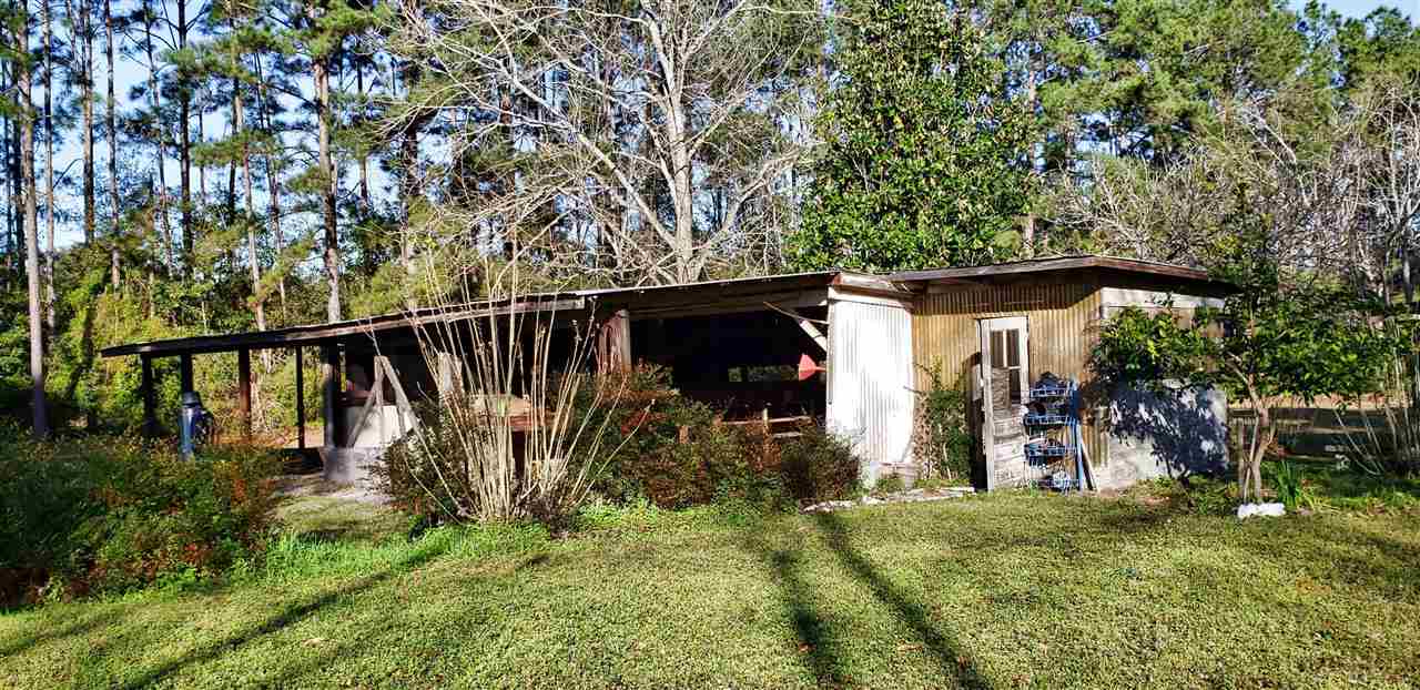 3386 Southeast Rogers Sink Road Madison, FL 32340 - Photo 11 of 34 Gallery Image 11