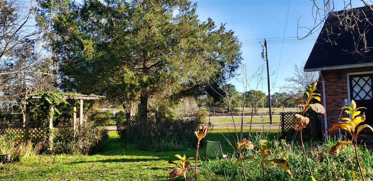 3386 Southeast Rogers Sink Road Madison, FL 32340 - Photo 13 of 34 Gallery Image 13