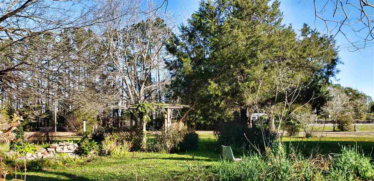 3386 Southeast Rogers Sink Road Madison, FL 32340 - Photo 14 of 34 Gallery Image 14