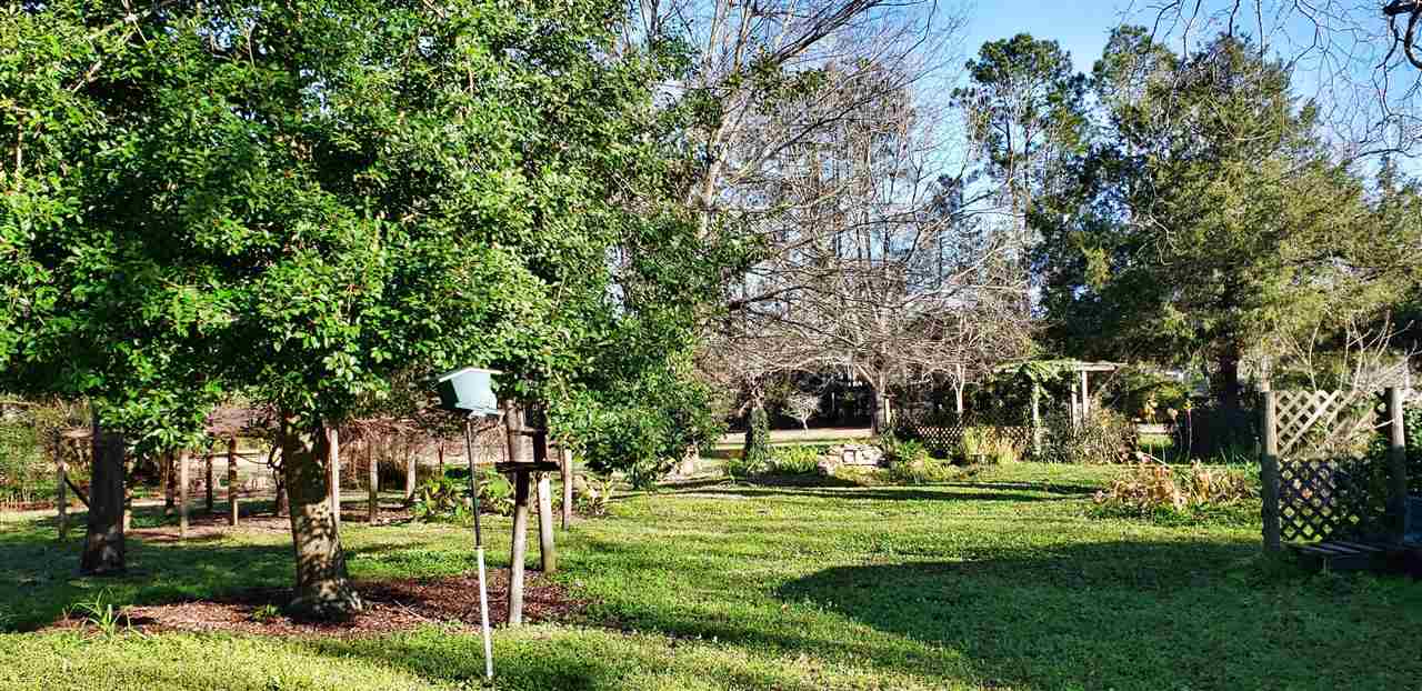 3386 Southeast Rogers Sink Road Madison, FL 32340 - Photo 3 of 34 Gallery Image 3