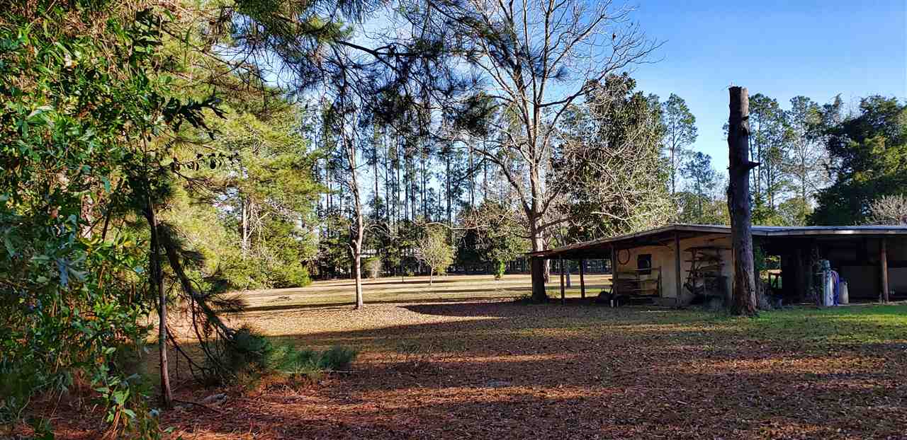 3386 Southeast Rogers Sink Road Madison, FL 32340 - Photo 5 of 34 Gallery Image 5