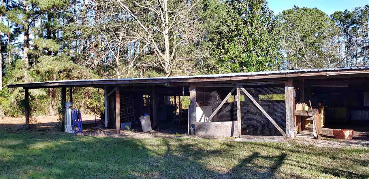 3386 Southeast Rogers Sink Road Madison, FL 32340 - Photo 10 of 34 Gallery Image 10