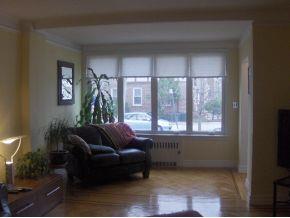 92 MacKay Place Brooklyn, NY 11209 - Photo 10 of 12