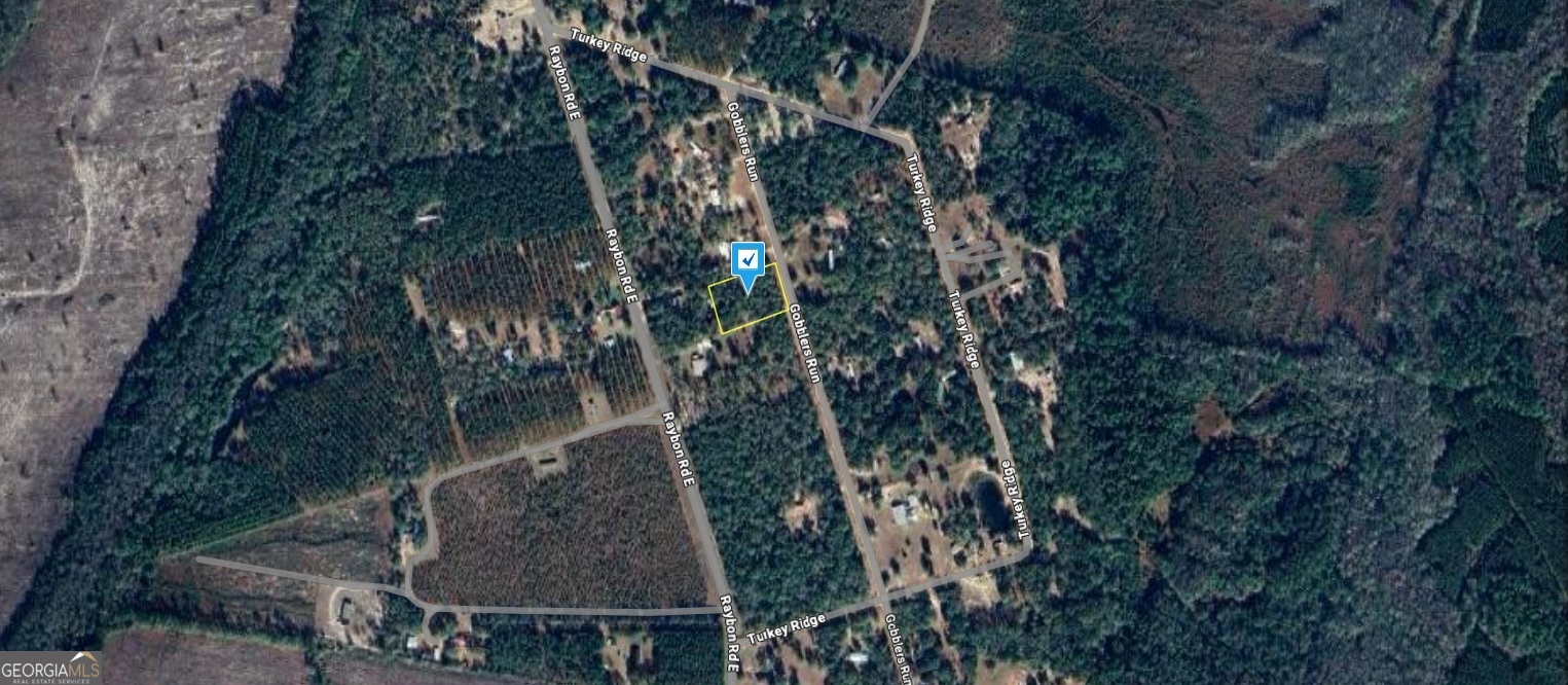 200 Gobblers Run Nahunta, GA 31553 - Photo 3 of 6 a picture of tree