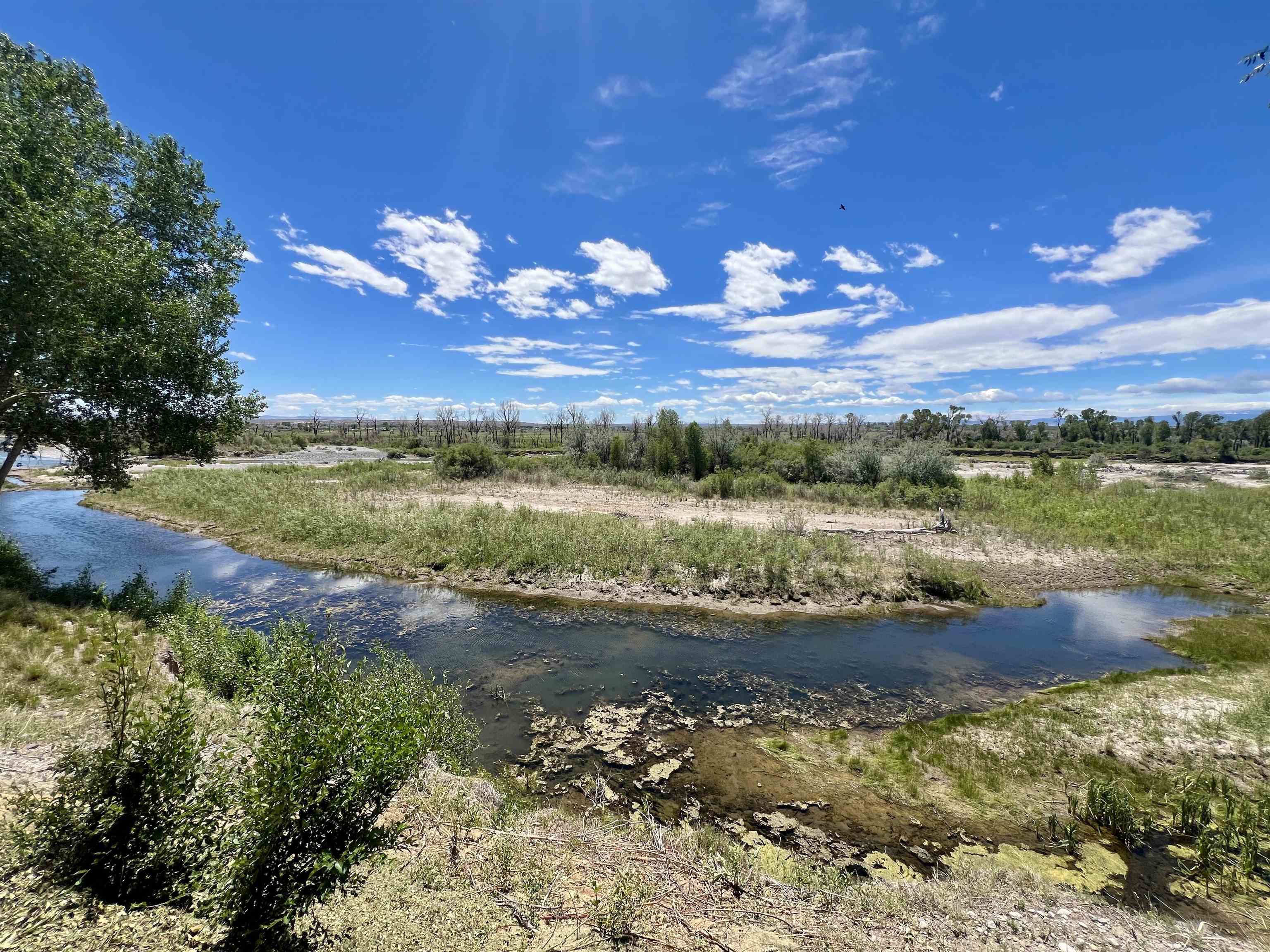 3215 Riverside Drive Riverton, WY 82501 - Photo 8 of 50