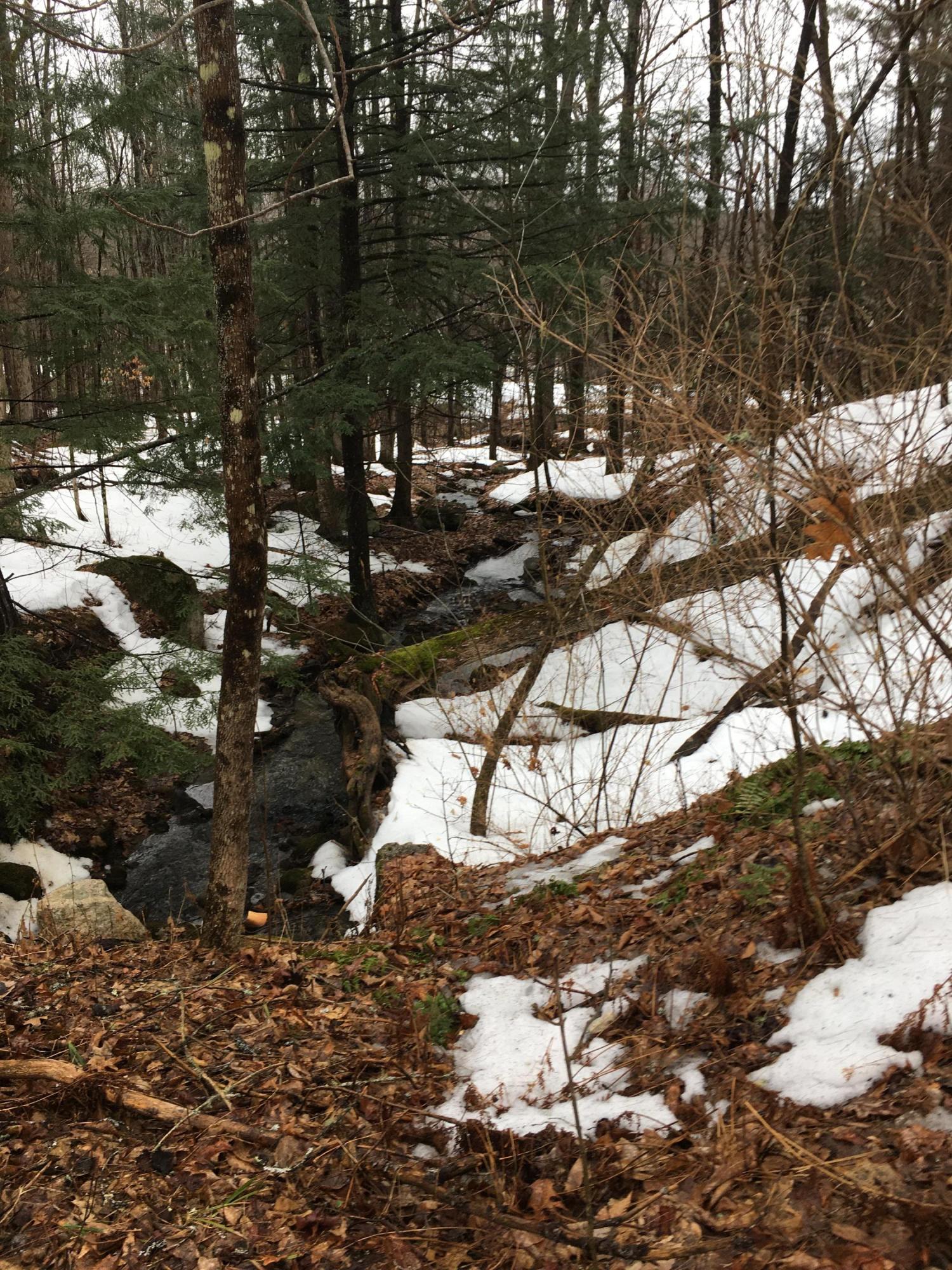 M6-l1-6 Father Rasle Road Norridgewock, ME 04957 - Photo 17 of 19 IMG-1478