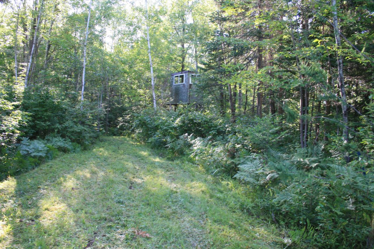 On Berry Road Phillips, WI 54555 - Photo 27 of 30 Gallery Image 27