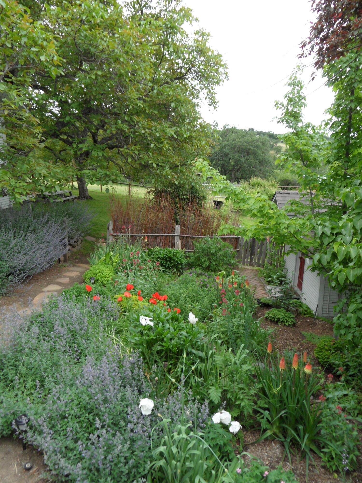 7017 Dark Hollow Road Medford, OR 97501 - Photo 41 of 74 Flower gardens