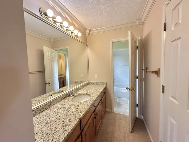 a bathroom with a granite countertop double vanity and a mirror