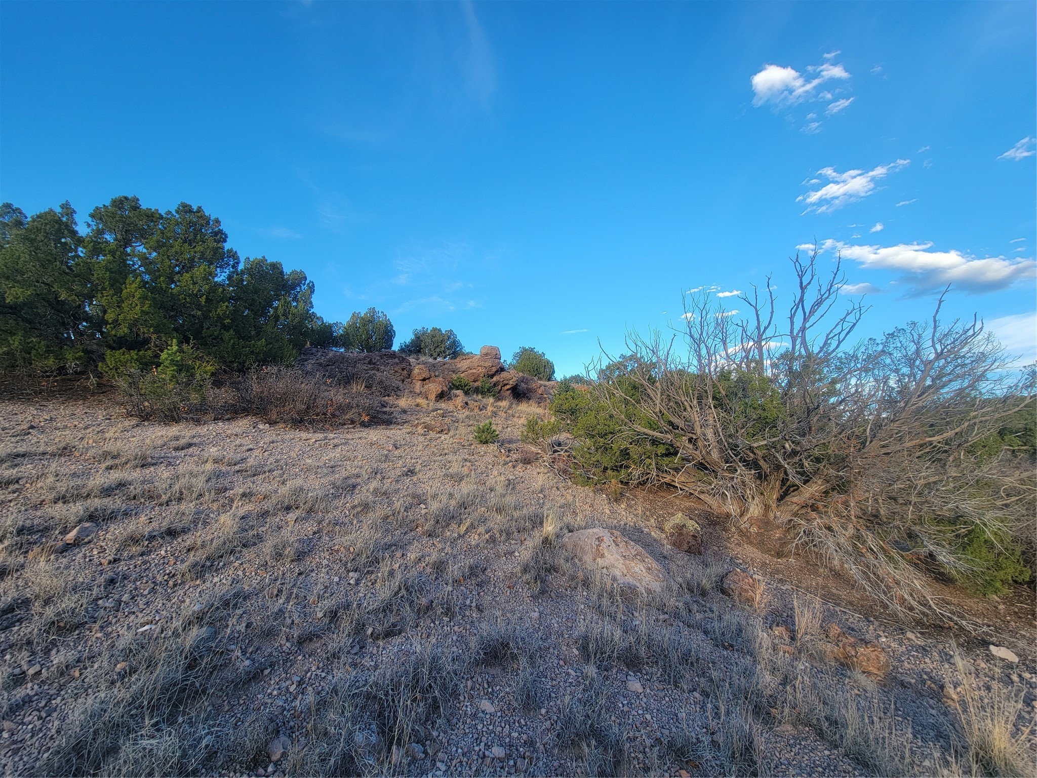 218 Horny Toad Road Cerrillos, NM 87010 - Photo 10 of 16